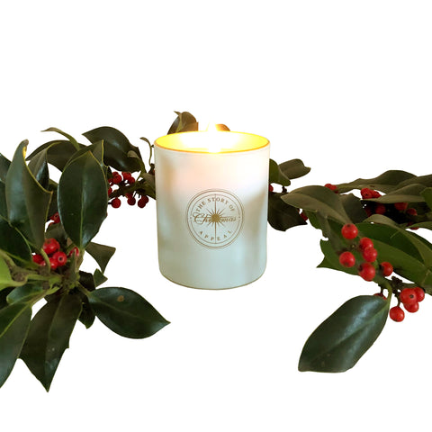 The Story of Christmas Appeal Candle